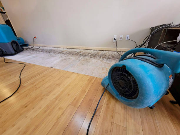 Professional Structural Drying technician working in Fredonia, PA